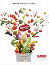 Store Safe Brochure