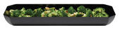 Ensaladera SAN SFG820 Ensaladera SAN SFG820