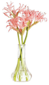 Florero BV6CW Florero BV6CW